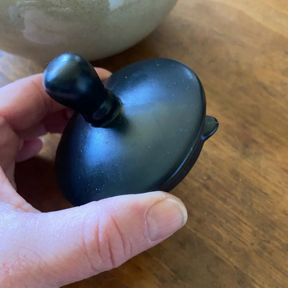 Pier 1 Kioko Stoneware Tea Pot